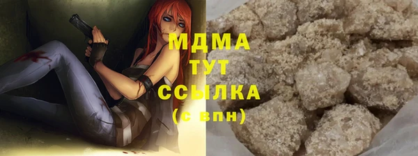 крисы Бородино