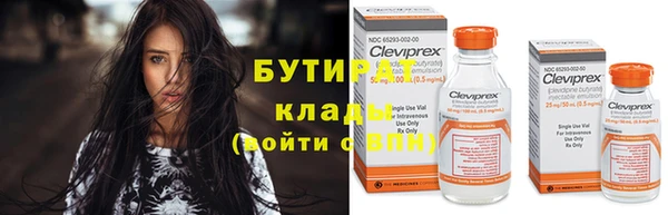 крисы Бородино