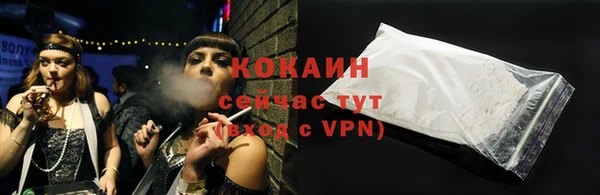 крисы Бородино