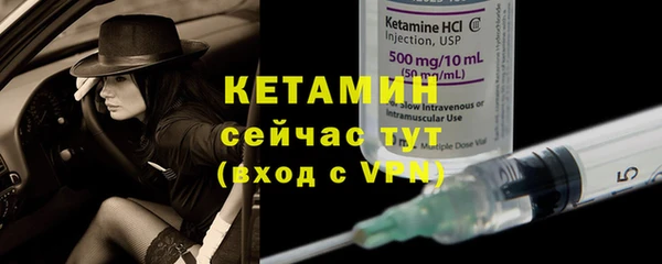 крисы Бородино