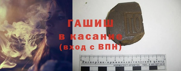 крисы Бородино