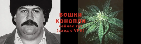 крисы Бородино
