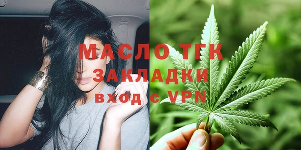 крисы Бородино