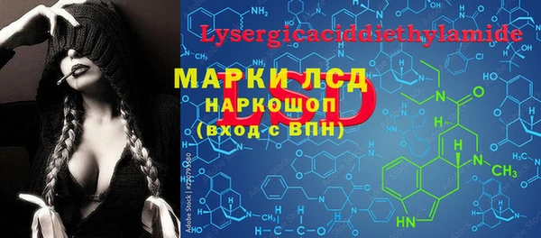 крисы Бородино