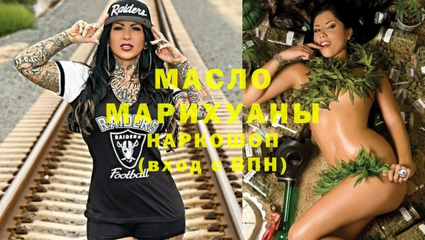 крисы Бородино