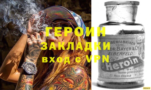 крисы Бородино
