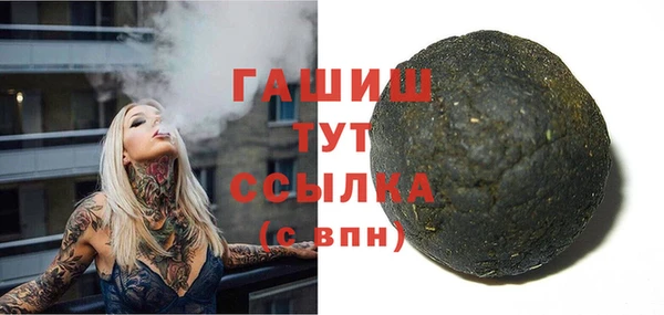 крисы Бородино